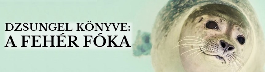feher-foka-banner