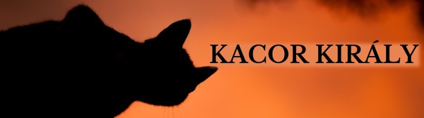 kacor-kiraly-banner