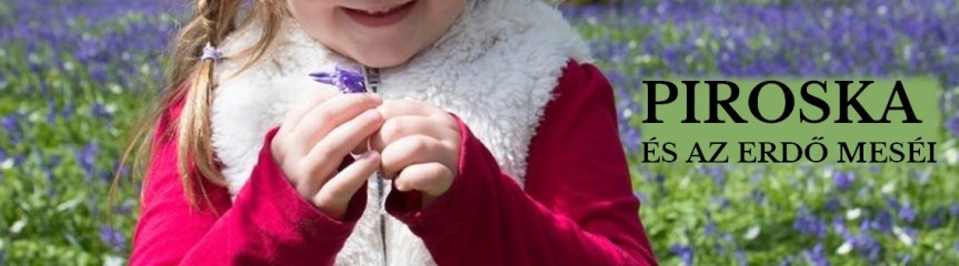 piroska-banner
