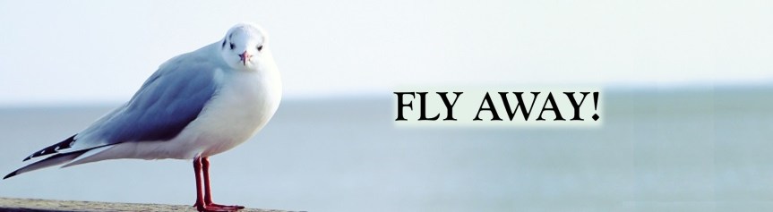 fly away